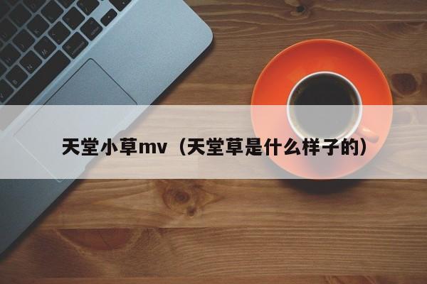 天堂小草mv（天堂草是什么样子的）