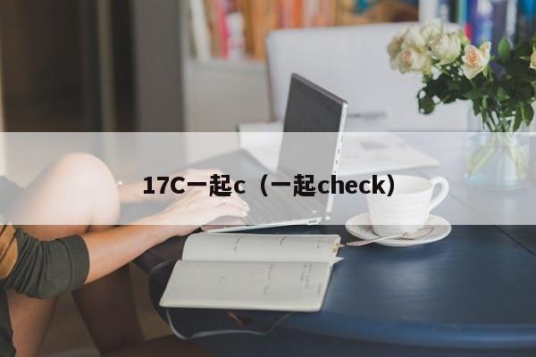 17C一起c（一起check）