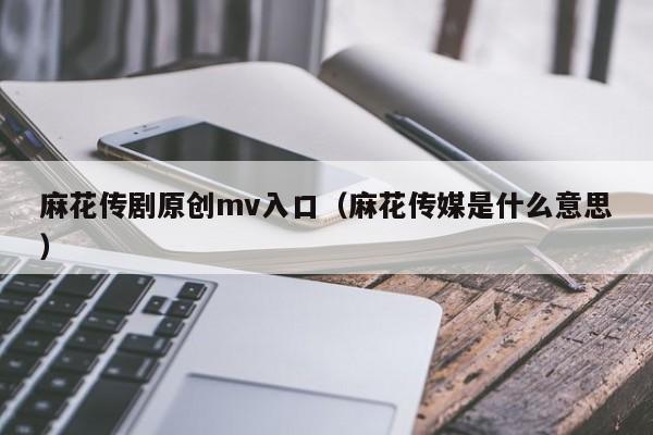 麻花传剧原创mv入口（麻花传媒是什么意思）