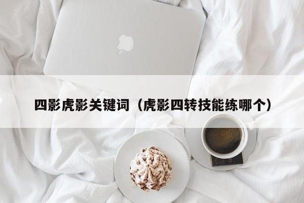 四影虎影关键词（虎影四转技能练哪个）