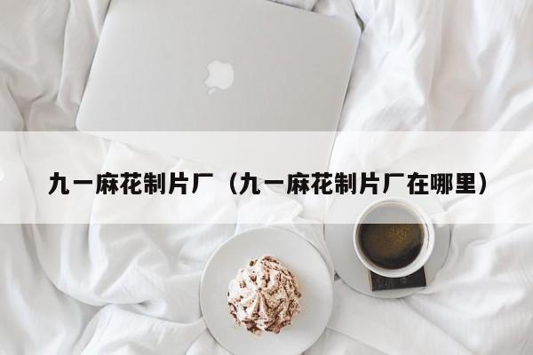 九一麻花制片厂（九一麻花制片厂在哪里）